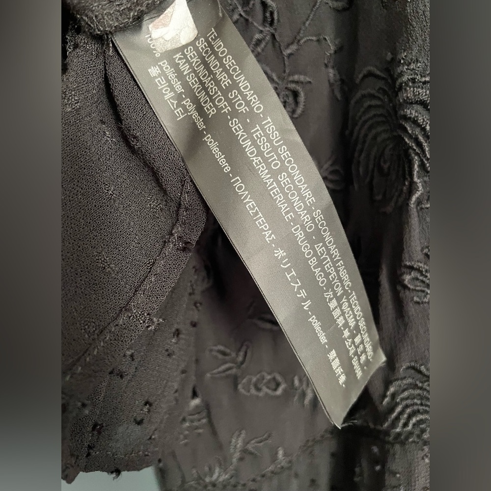 Zara Women’s Embroidered Sheer Black Ruffled Victorian Whimsigoth Top Size Small - Picture 5 of 5